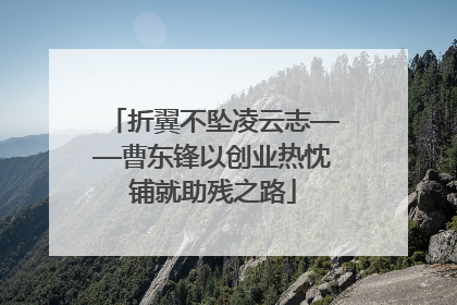 折翼不坠凌云志——曹东锋以创业热忱铺就助残之路