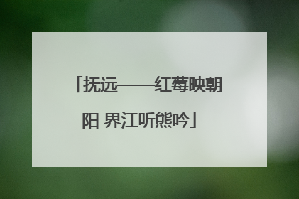 抚远——红莓映朝阳 界江听熊吟
