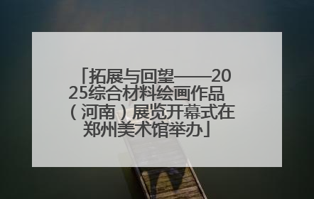 拓展与回望——2025综合材料绘画作品（河南）展览开幕式在郑州美术馆举办