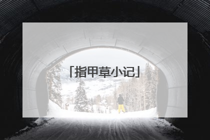 指甲草小记