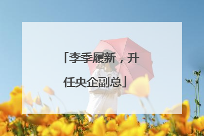 李季履新，升任央企副总