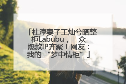 杜淳妻子王灿兮晒整柜Labubu，一众爆款IP齐聚！网友：我的 “梦中情柜”