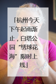 杭州今天下午起雨渐止，白塔公园“绣球花海”限时上线
