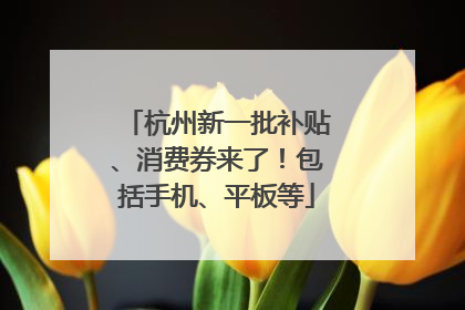 杭州新一批补贴、消费券来了！包括手机、平板等