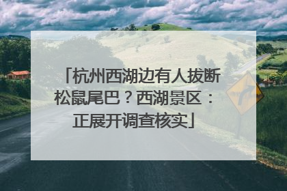 杭州西湖边有人拔断松鼠尾巴？西湖景区：正展开调查核实