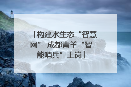 构建水生态“智慧网” 成都青羊“智能哨兵”上岗