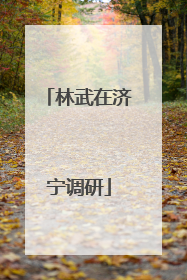 林武在济宁调研