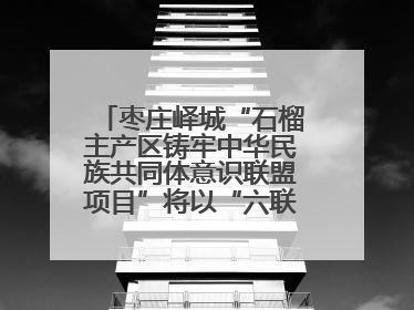 枣庄峄城“石榴主产区铸牢中华民族共同体意识联盟项目”将以“六联”活动为抓手深化品牌建设