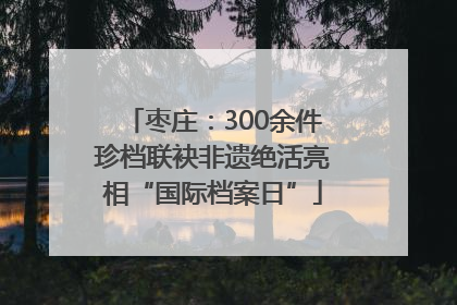 枣庄：300余件珍档联袂非遗绝活亮相“国际档案日”