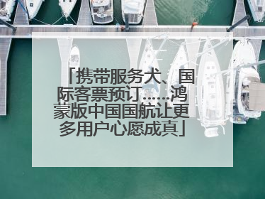 携带服务犬、国际客票预订……鸿蒙版中国国航让更多用户心愿成真