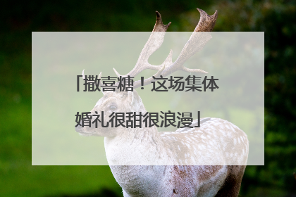 撒喜糖！这场集体婚礼很甜很浪漫