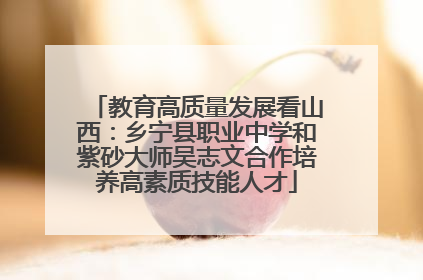 教育高质量发展看山西：乡宁县职业中学和紫砂大师吴志文合作培养高素质技能人才