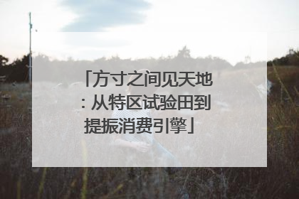 方寸之间见天地：从特区试验田到提振消费引擎