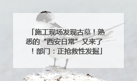 施工现场发现古墓！熟悉的“西安日常”又来了！部门：正抢救性发掘