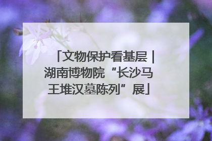 文物保护看基层｜湖南博物院“长沙马王堆汉墓陈列”展