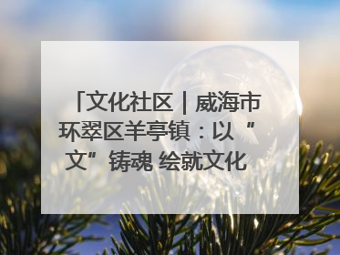 文化社区｜威海市环翠区羊亭镇：以“文”铸魂 绘就文化社区新画卷