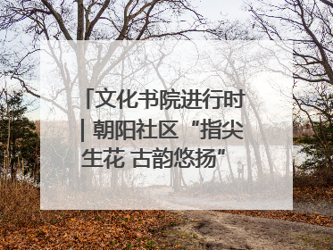 文化书院进行时｜朝阳社区“指尖生花 古韵悠扬”公益课堂开课了