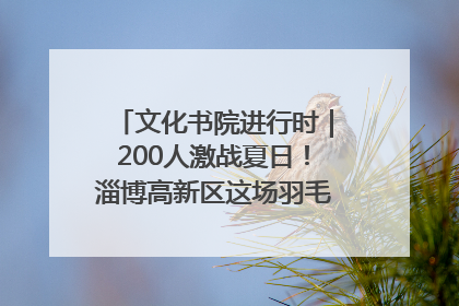 文化书院进行时｜200人激战夏日！淄博高新区这场羽毛球比赛太酷