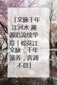 文脉千年江河水·溯源追流续华章｜松花江文脉：千年滋养，奔涌不息