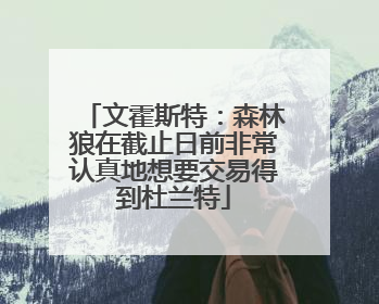 文霍斯特：森林狼在截止日前非常认真地想要交易得到杜兰特