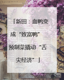新田：血鸭变成“致富鸭” 预制菜撬动“舌尖经济”