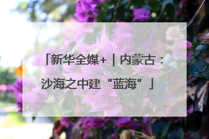 新华全媒+｜内蒙古：沙海之中建“蓝海”
