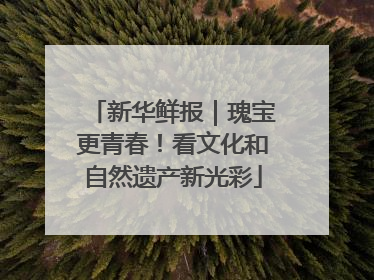 新华鲜报｜瑰宝更青春！看文化和自然遗产新光彩