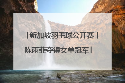 新加坡羽毛球公开赛丨陈雨菲夺得女单冠军
