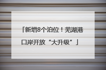 新增8个泊位！芜湖港口岸开放“大升级”