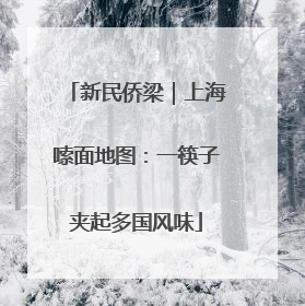 新民侨梁｜上海嗦面地图：一筷子夹起多国风味