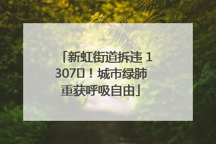 新虹街道拆违 1307㎡！城市绿肺重获呼吸自由