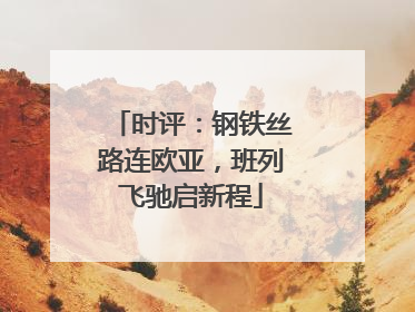 时评：钢铁丝路连欧亚，班列飞驰启新程