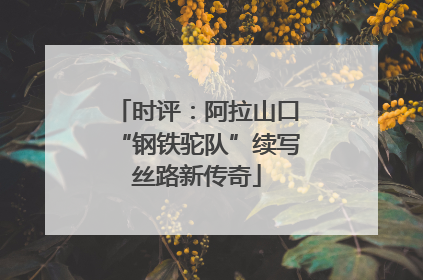 时评：阿拉山口“钢铁驼队”续写丝路新传奇