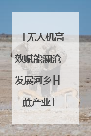 无人机高效赋能澜沧发展河乡甘蔗产业