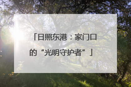 日照东港：家门口的“光明守护者”