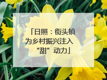 日照：街头镇为乡村振兴注入“甜”动力
