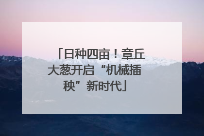 日种四亩！章丘大葱开启“机械插秧”新时代