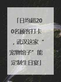 日均超200名顾客打卡，武汉这家“宠物馆子”能定制生日宴