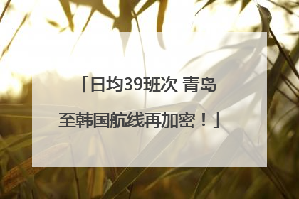 日均39班次 青岛至韩国航线再加密！