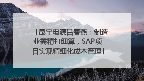 昆宇电源吕春燕：制造业需精打细算，SAP项目实现精细化成本管理