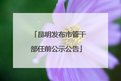 昆明发布市管干部任前公示公告