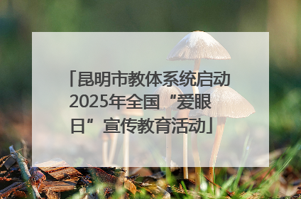 昆明市教体系统启动2025年全国“爱眼日”宣传教育活动