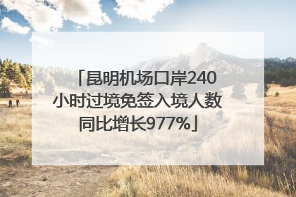 昆明机场口岸240小时过境免签入境人数同比增长977%