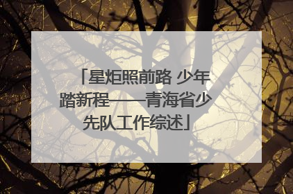星炬照前路 少年踏新程——青海省少先队工作综述