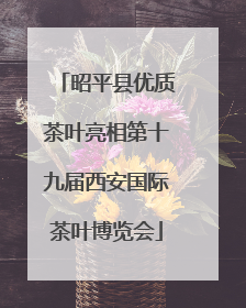 昭平县优质茶叶亮相第十九届西安国际茶叶博览会