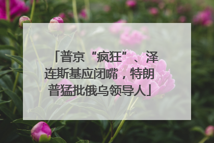 普京“疯狂”、泽连斯基应闭嘴，特朗普猛批俄乌领导人