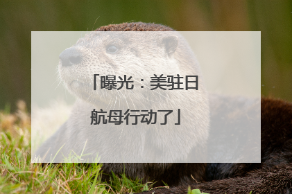 曝光：美驻日航母行动了