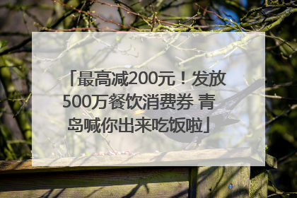 最高减200元！发放500万餐饮消费券 青岛喊你出来吃饭啦