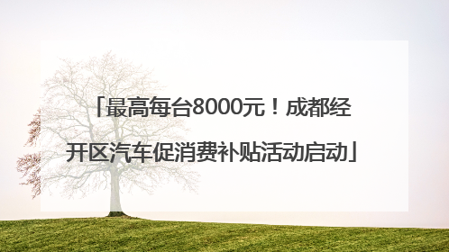 最高每台8000元！成都经开区汽车促消费补贴活动启动