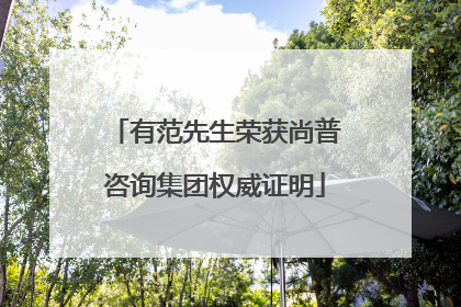 有范先生荣获尚普咨询集团权威证明
